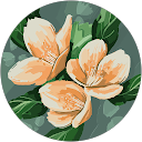 Ana Rodríguez profile picture