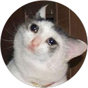 Marina Cué profile picture